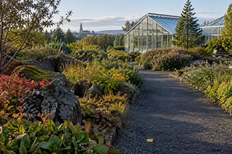 Reykjavík Botanic Garden (Grasagarður)