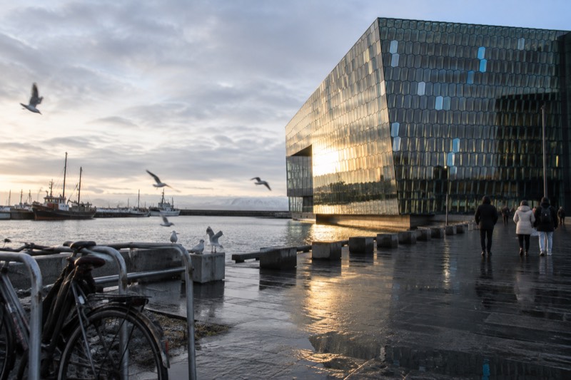 Morning Walk From Harpa, Cash Tips