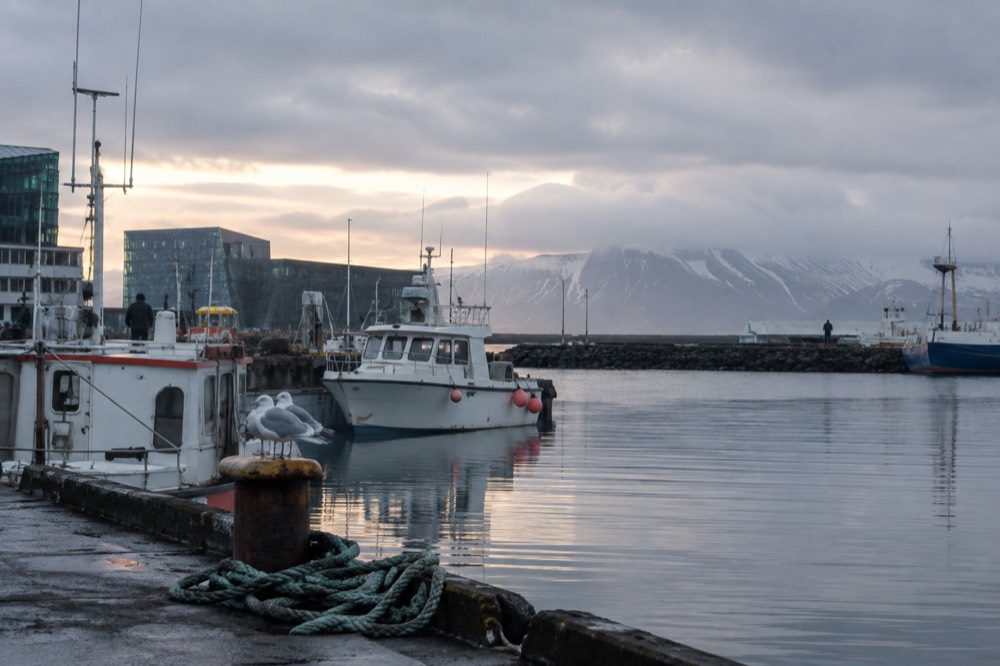 Fishing boats moored along a Reykjavik harbour pier with low clouds