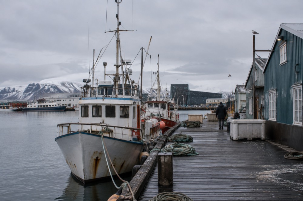 Reykjavik harbour buildings and small boats under an overcast sky