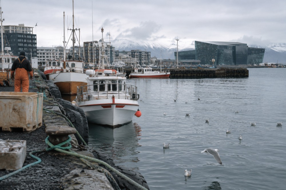 Gravel path along Reykjavik old harbour with fishing boats moored at the quay