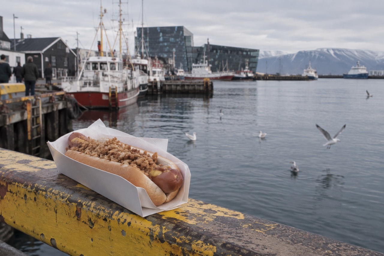 A simple Icelandic hot dog with crispy onions on a paper tray beside a harbour railing