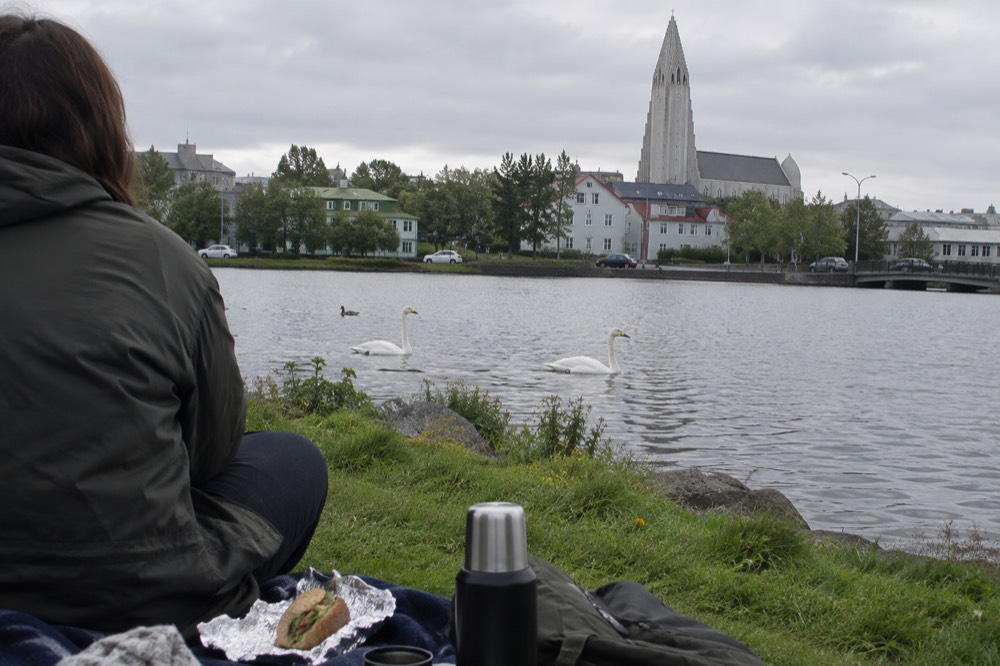 Benches beside the Tjörnin pond with swans on the water and city buildings behind