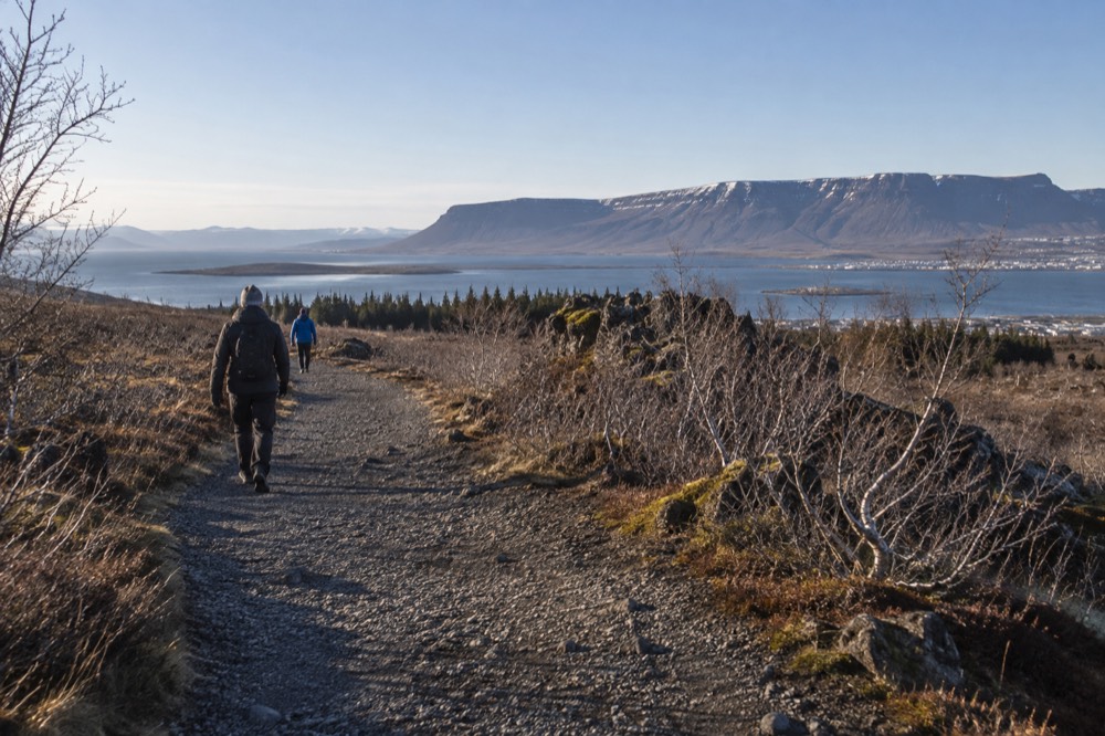A gravel trail leading through low birch scrub toward a distant mountain