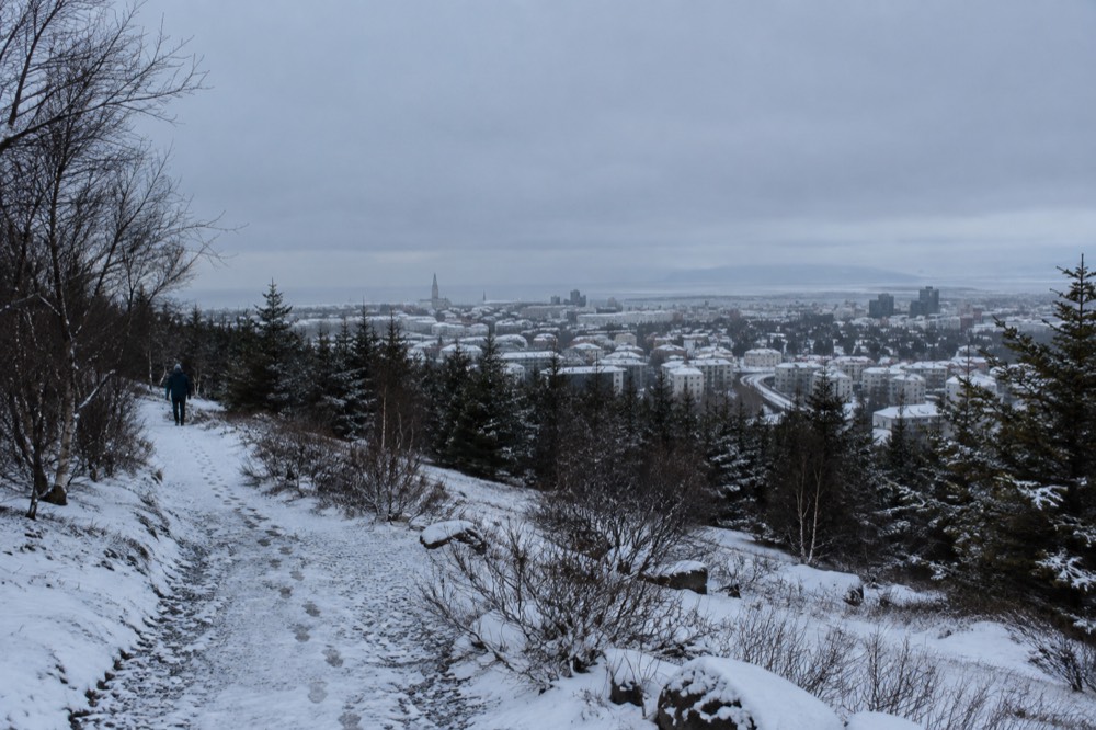 Snow covered rooftops of Reykjavik seen from a hillside trail