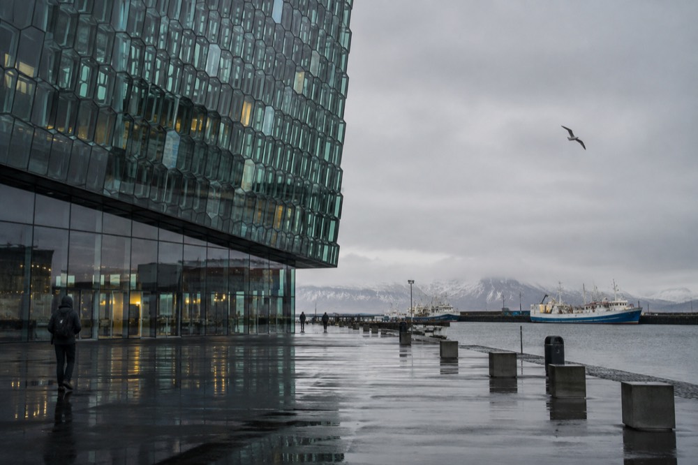 Modern glass concert hall facade with geometric panels beside a harbour