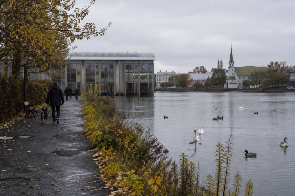 City pond with wildfowl and a path leading to a modern city hall building