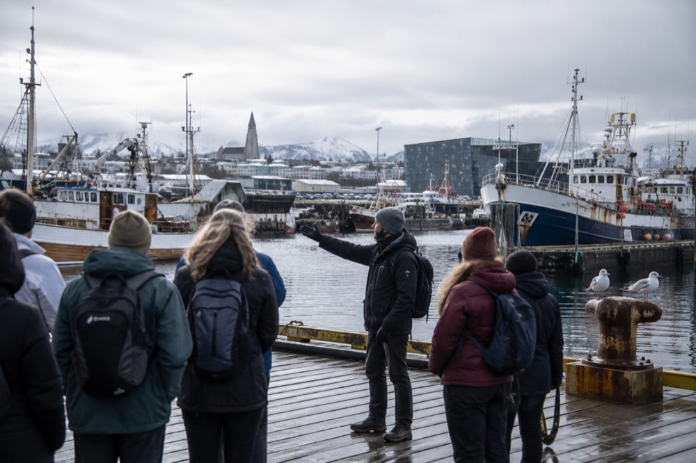 A walking tour group in front of Harpa Concert Hall with a guide holding a CityWalk sign