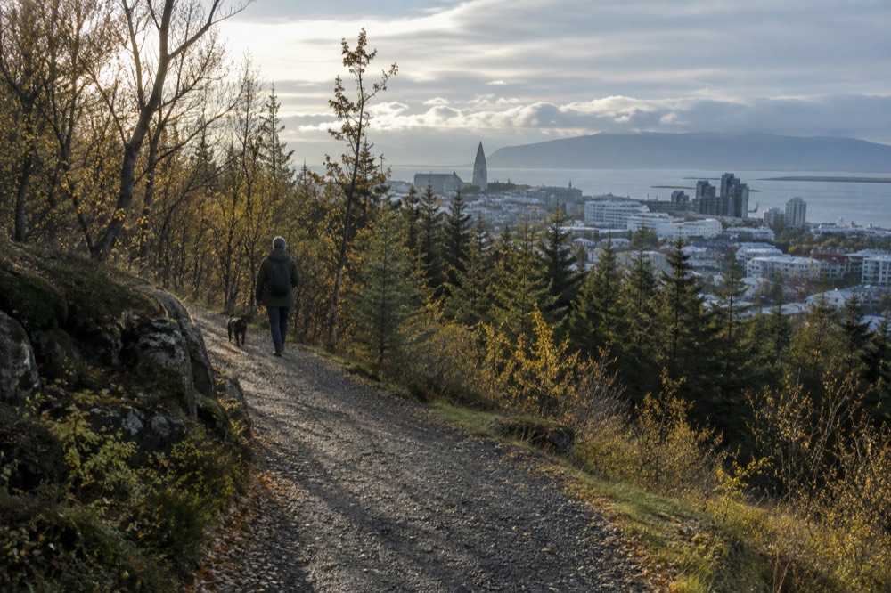 Gravel trail through low forest on a hill with a view over water and city rooftops