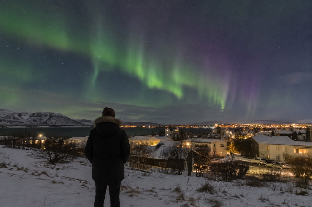 A person in a winter coat looking up at purple and green aurora over a snowy park
