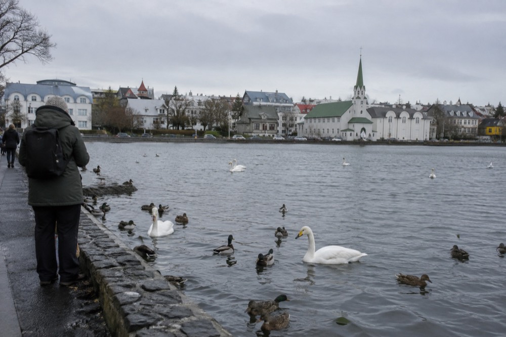 City pond with birds and park benches beside a Reykjavik church