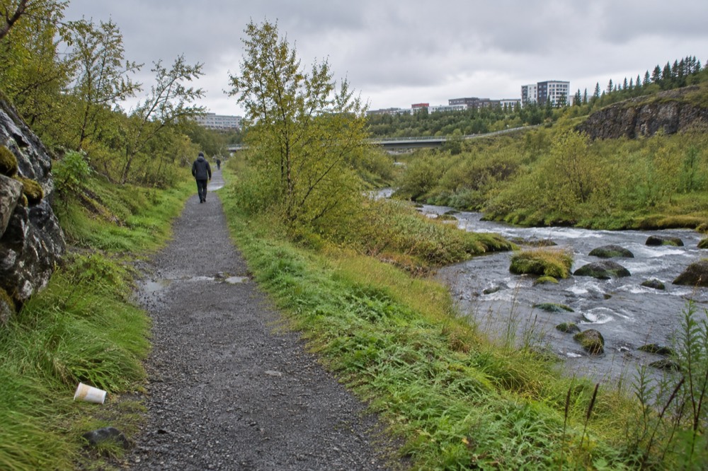 Wooded valley path with a river running through a city park