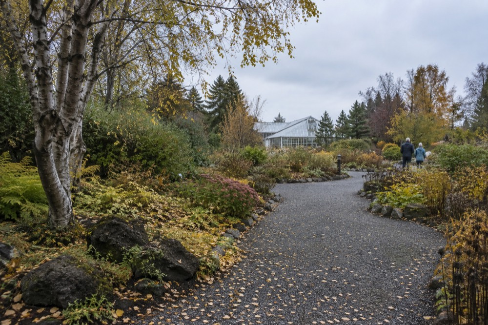 Path through flower beds with trees and a low greenhouse in the background