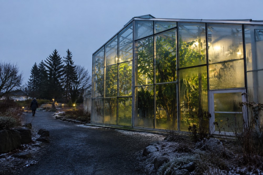 Glass greenhouse with plants visible through the panes