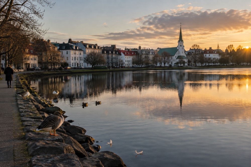 City pond with park benches and birds along the shore path