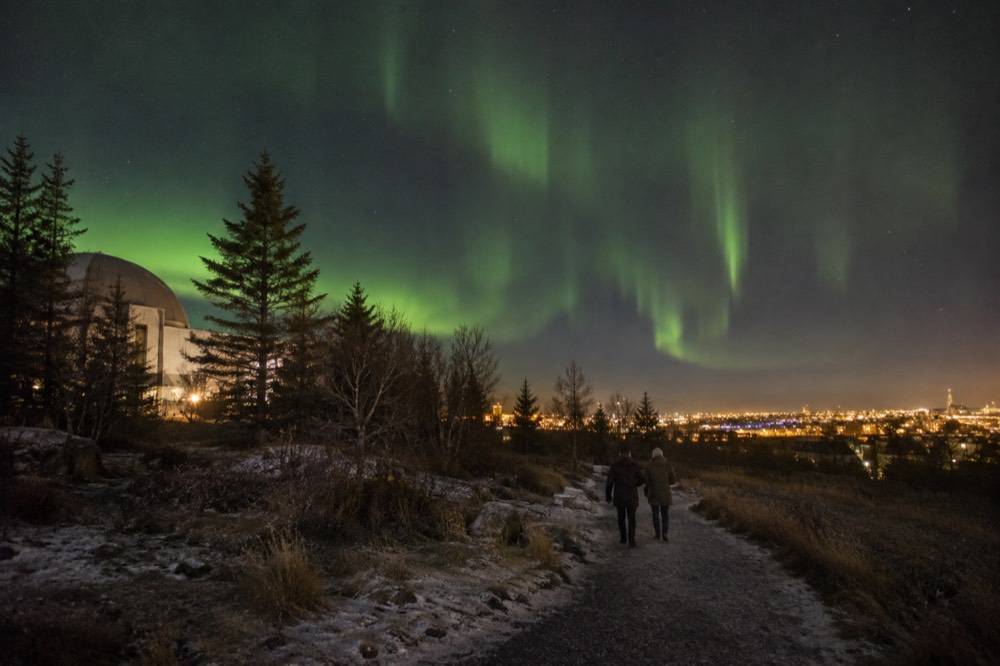 Green aurora over a dark park with the city glow on the horizon