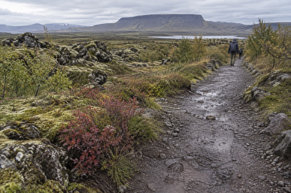 Marked gravel trail crossing open lava field with low shrubs