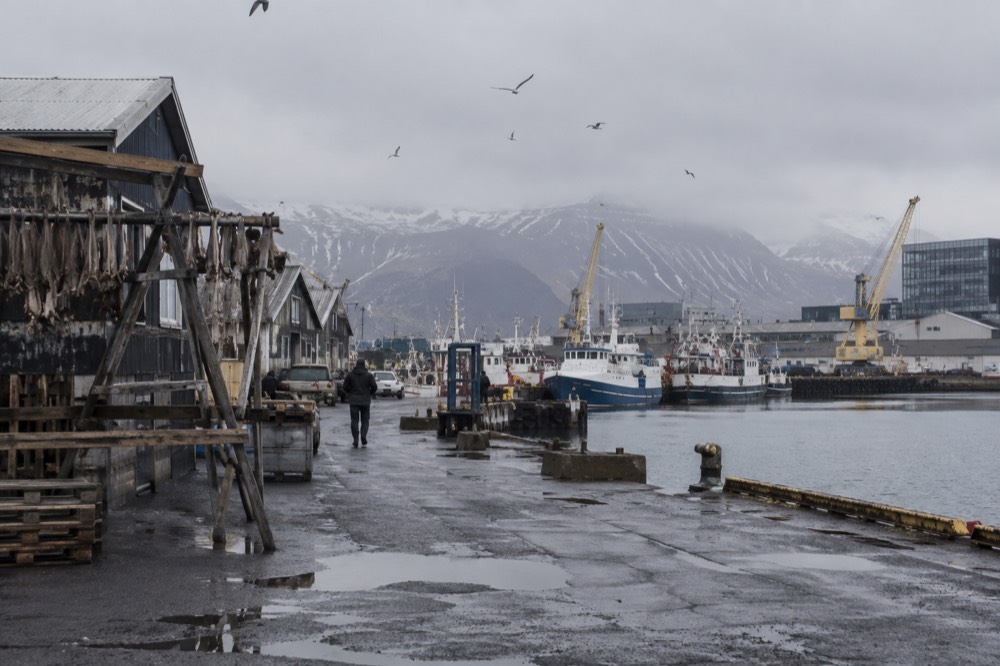 Fishing boats and cranes along the Old Harbour quays on a grey morning