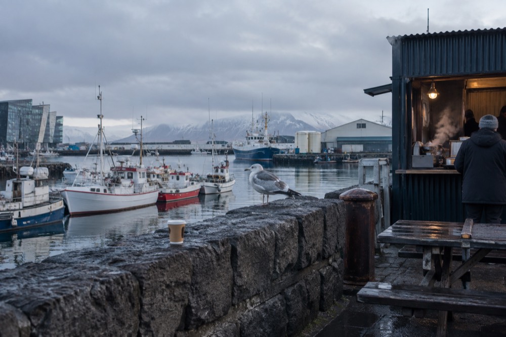 A small harbour-side food stand with steam rising beside the quay