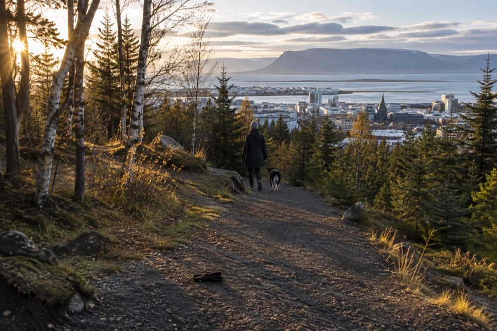 A wooded hilltop path overlooking a city and a wide bay
